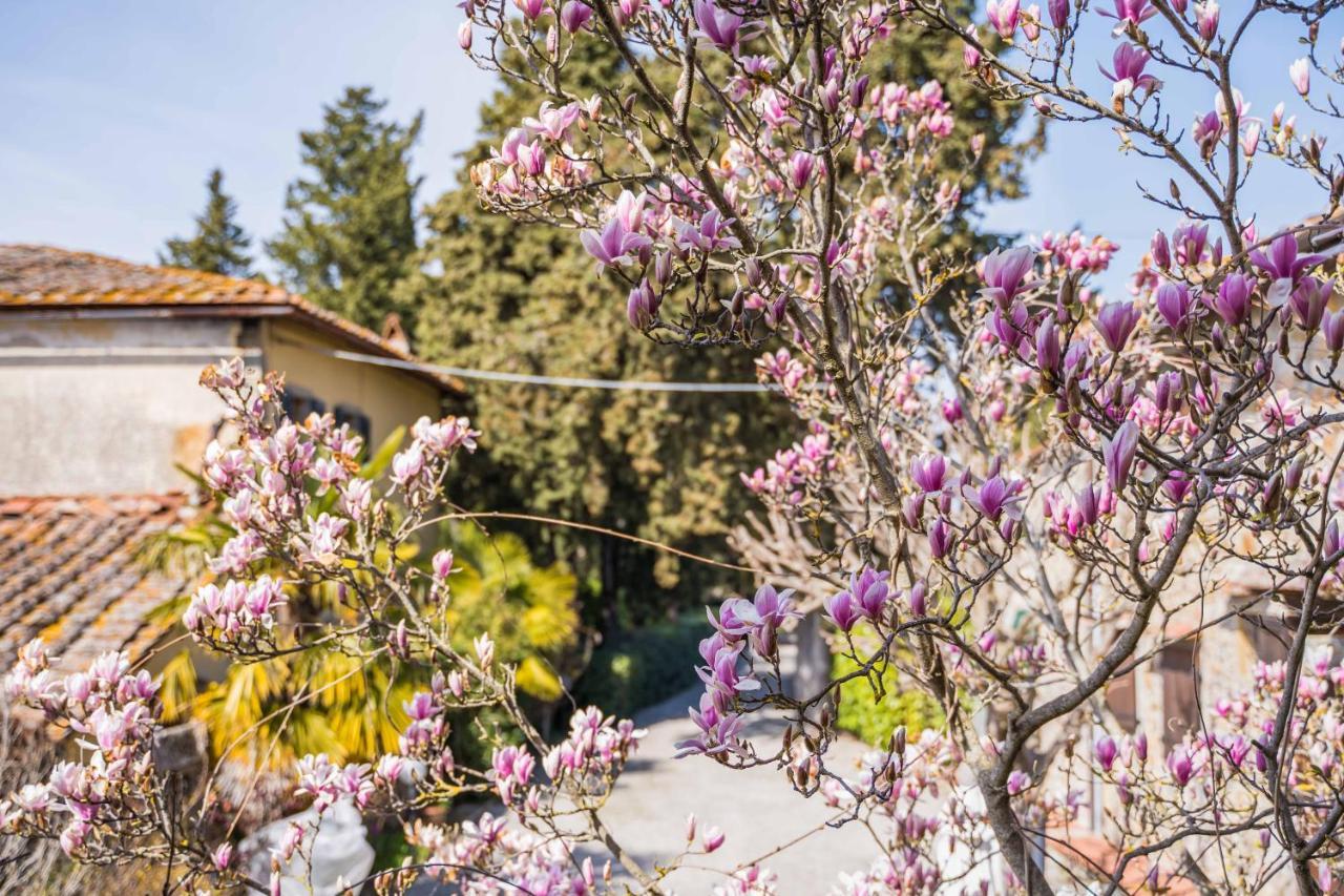 La Magnolia Bed & Breakfast Greve in Chianti Exterior photo