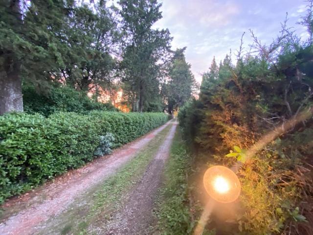 La Magnolia Bed & Breakfast Greve in Chianti Exterior photo